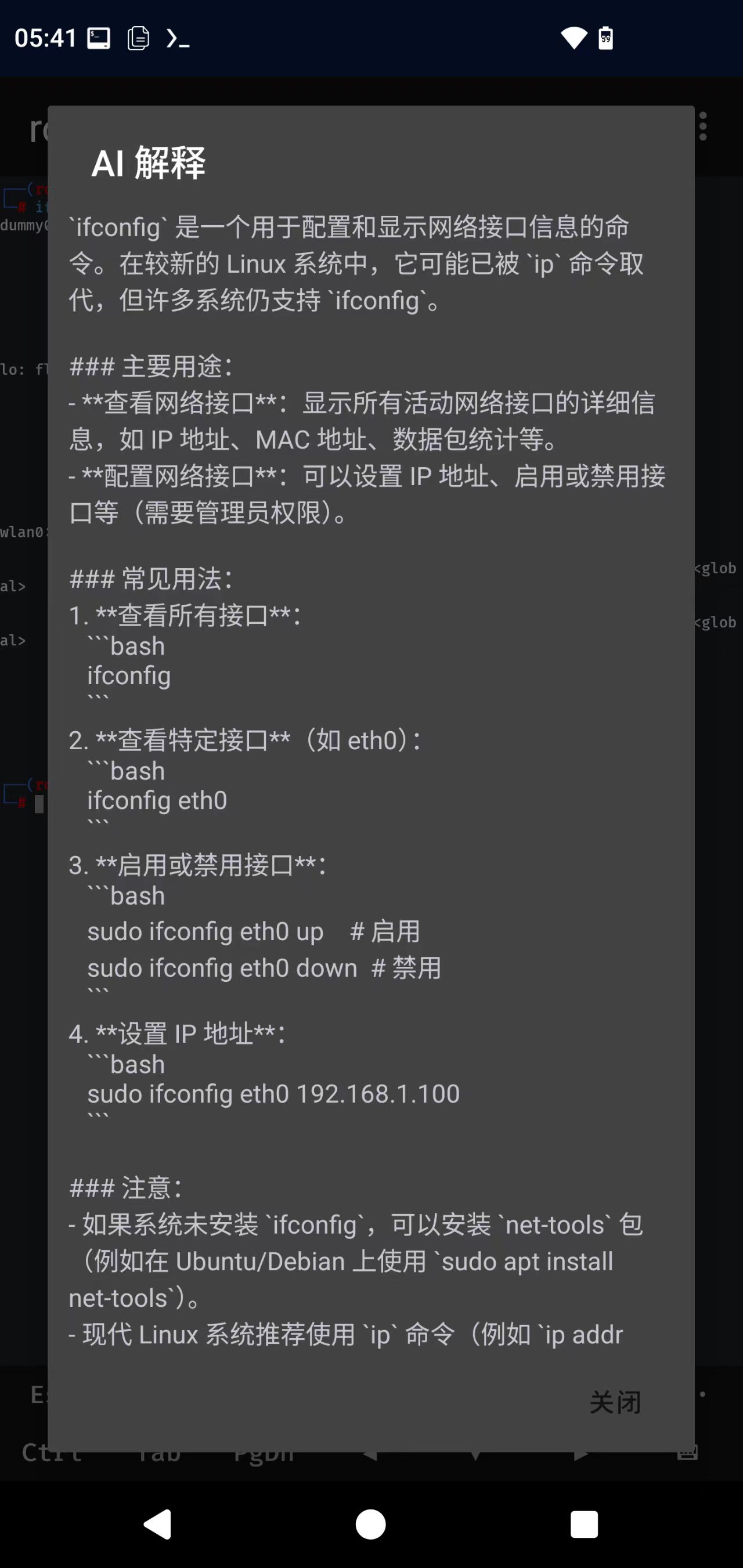 NetHunter Terminal Screenshot 2